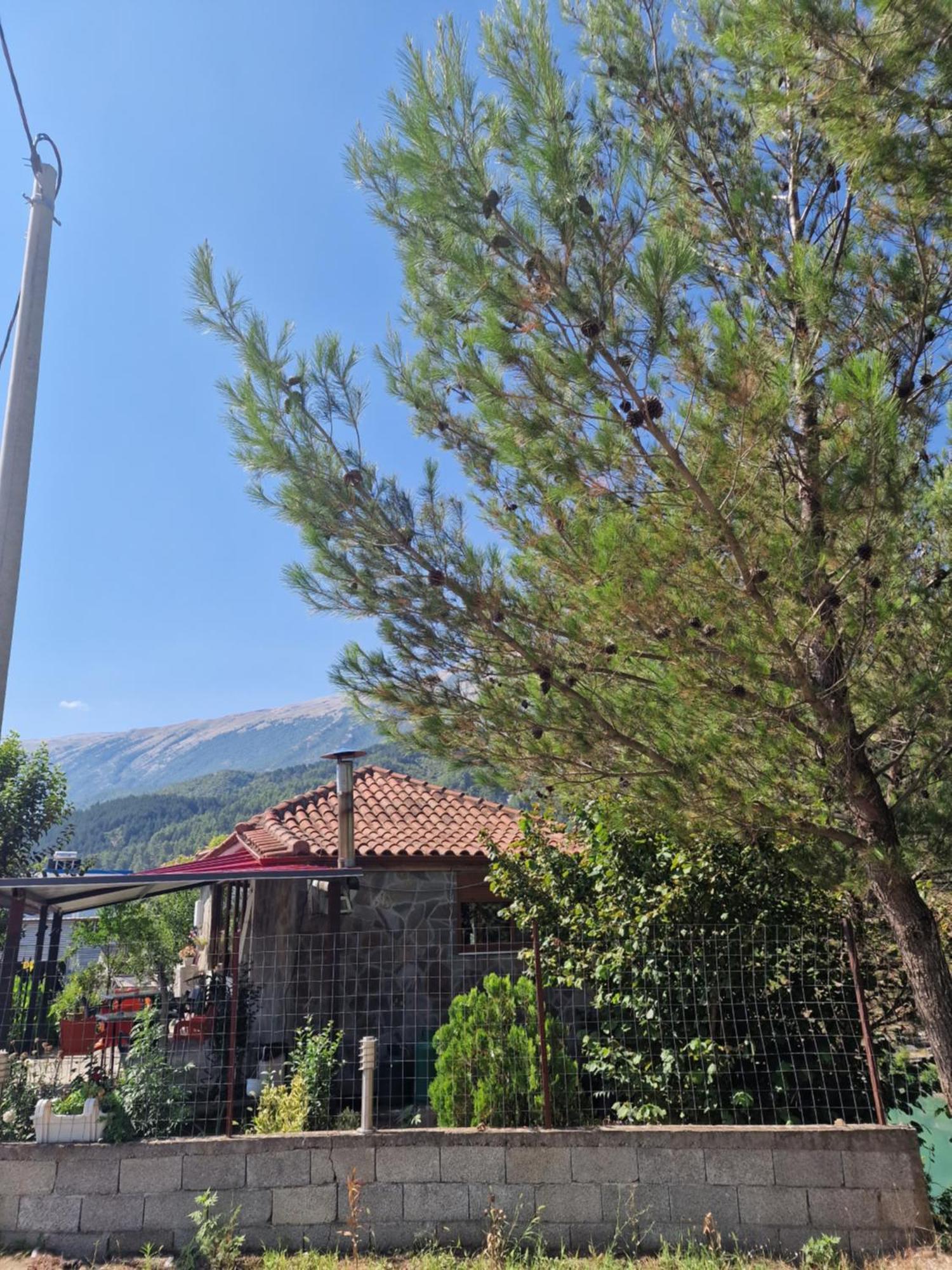 Guest House Krishen Përmet Esterno foto